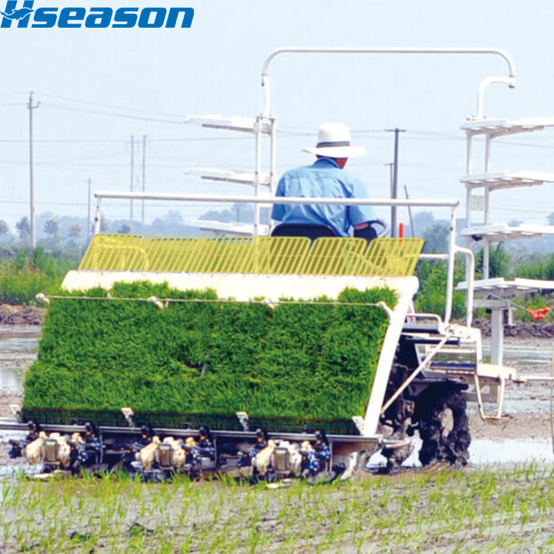 Transplantadora de arroz PZ80 AHDRT25